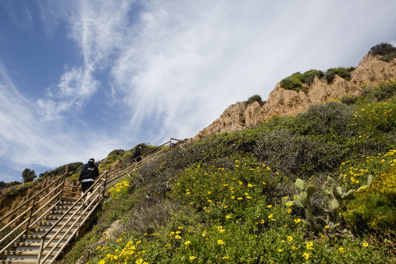 summer, united states, activity, non-urban scene, mountain, california, rocks, tranquility, malibu, nature photography, grass, 5K, nature, leisure activity