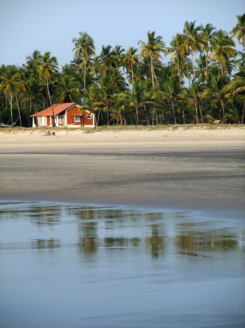 sand, waterfront, 2K, tree, nature, day, house, blue, beach, tranquility, architecture, water, built structure, scenics - nature, palm tree, no people