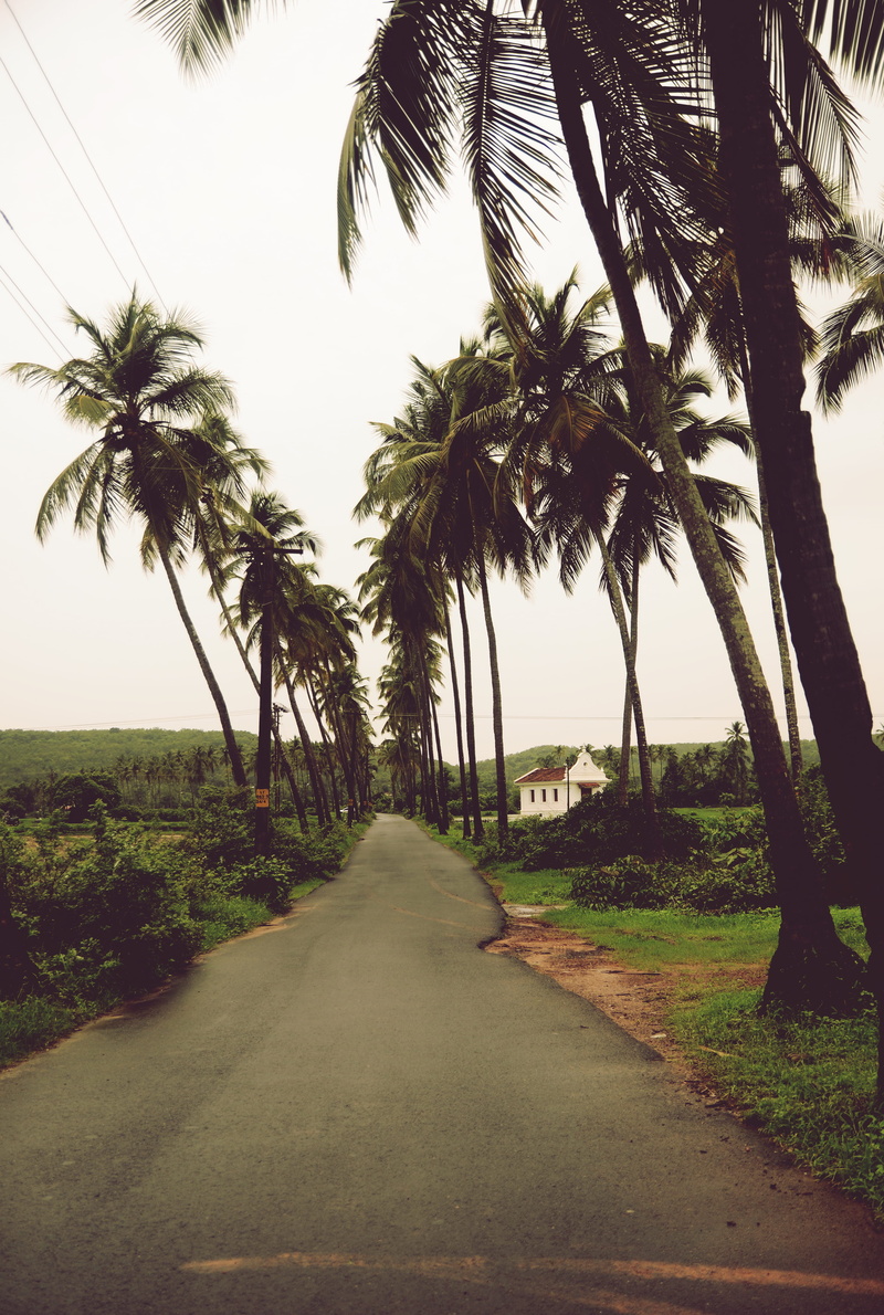 tropical climate, treelined, church, goa, 4K, transportation, tranquil scene, the way forward, lush, plant, asia, direction, sky, monsoon, coconut, north goa