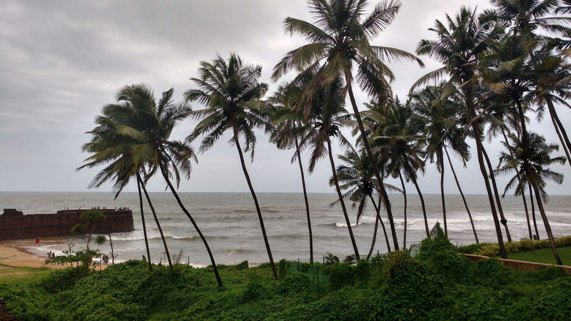 horizon, coconut trees, beauty in nature, plant, grass, tropical climate, palm tree, goa, water, horizon over water, indian summer, beach, tree, beach landscape