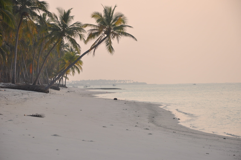 beach, sand, tranquil scene, tranquility, no people, 4K, nature, beauty in nature, coconut palm tree, clear sky, palm leaf, tropical climate, land, idyllic