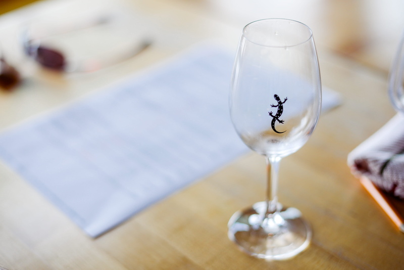 united states, sip, newt, wineglass, drink, glass, no people, animal, wine, wine glass, food and drink, alcohol, drinking, drinking glass, glass - material