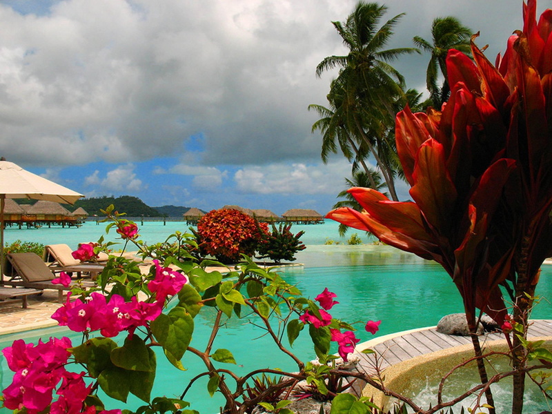 island, atoll, swimming, jacuzzi, blue, paradise, french, bourganvillea, lagoon, 1080P, exotic, polynesia, tahiti, bora