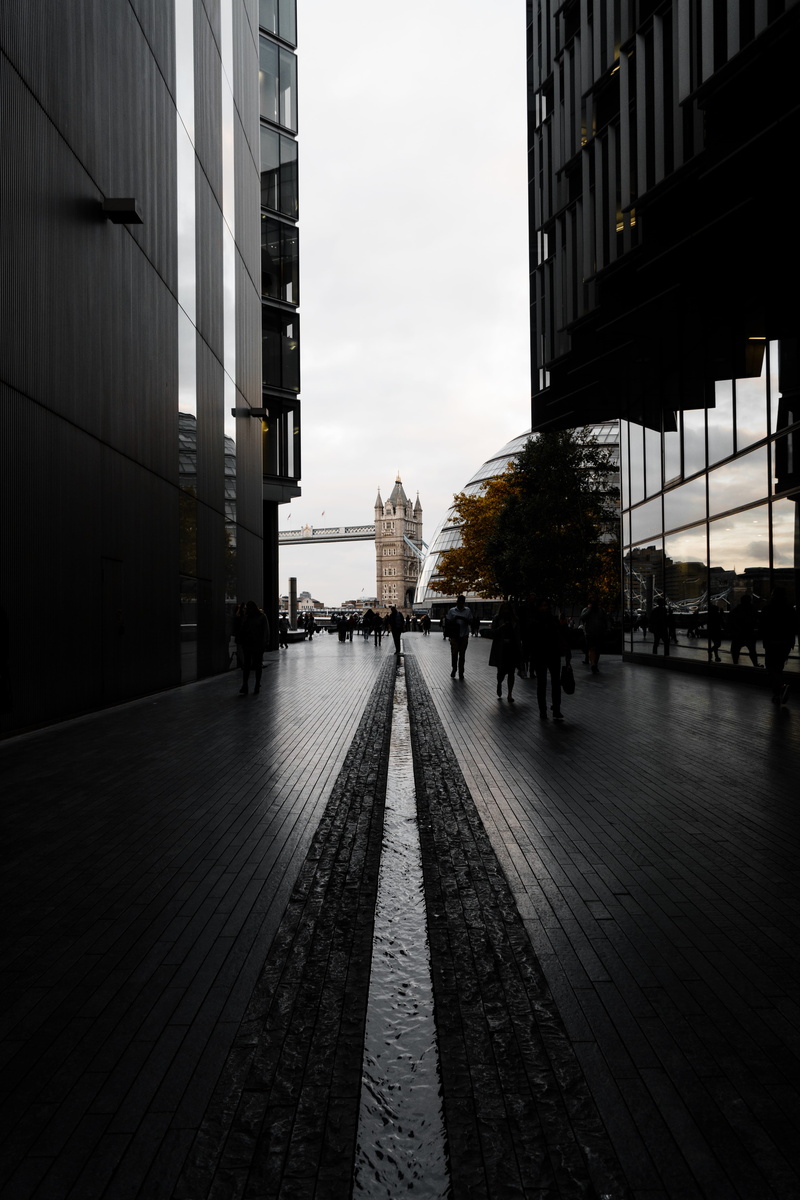 plant, the way forward, cloud - sky, london, outdoors, 5K, city, building exterior, architecture, direction, contrast, diminishing perspective, footpath