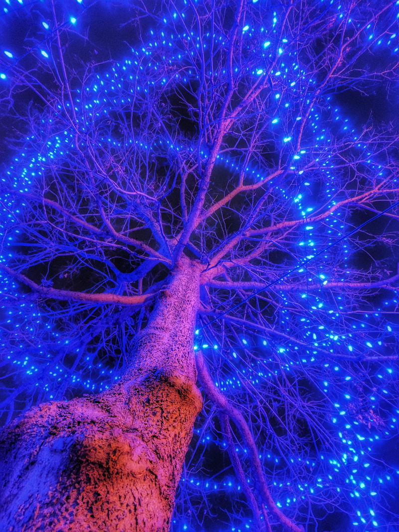 no people, full frame, close-up, 4K, pink color, illuminated, lighting equipment, abstract, complexity, minneapolis, light, nature, winter, electric light