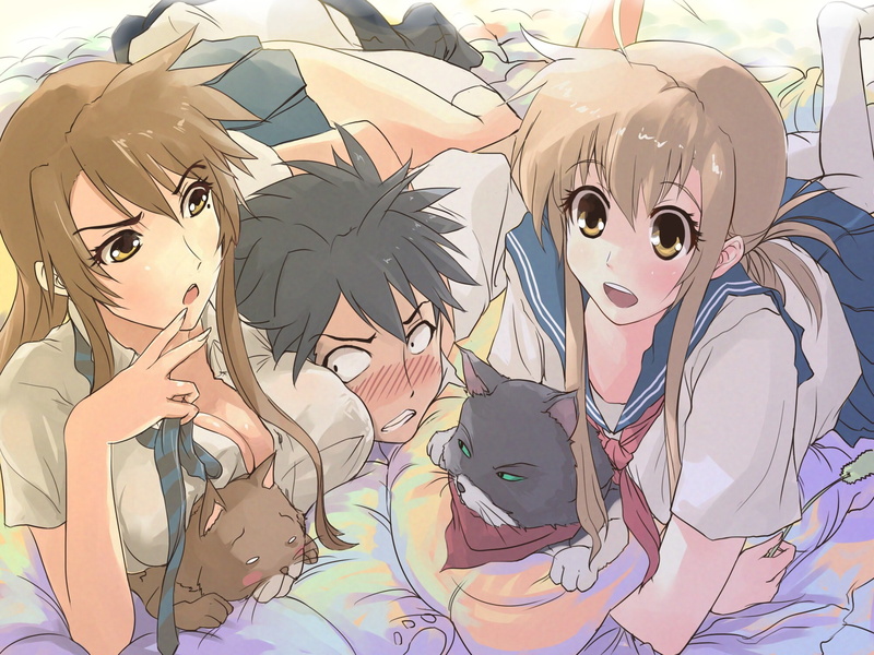 human representation, multi colored, emotion, close-up, 1080P, mask, no people, representation, Nyan Koi, Kōsaka Junpei, full frame, male likeness, Mizuno Kaede