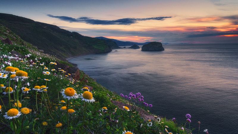biscay, spain, seashore, cape ortegal, bay of biscay, celtic sea, sea, coast, sunset, bizkaia, wildflower, bay, coastline, flowers, shore, dusk, 1080P