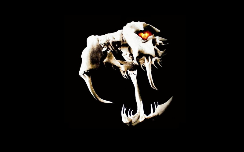 Skulls, hd, orton, world, sports, entertainment, wrestling, wwe, viper, x, logos, art, 1080P, randy, snakes