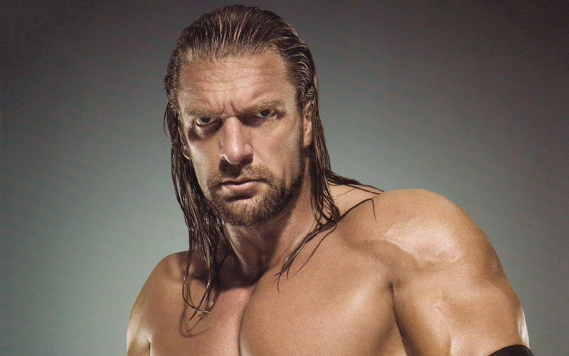 portrait, studio shot, WWE, contemplation, one person, beard, shirtless, gray, chest, triple h, triple, front view, wrestler, men, indoors, h, gray background