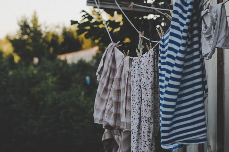 bush, garden, rope, vestido, color, style, coathanger, laundry, choice, elegance, rack, village, garment, clothing, lifestyles, dress, close-up, leaf, outdoors