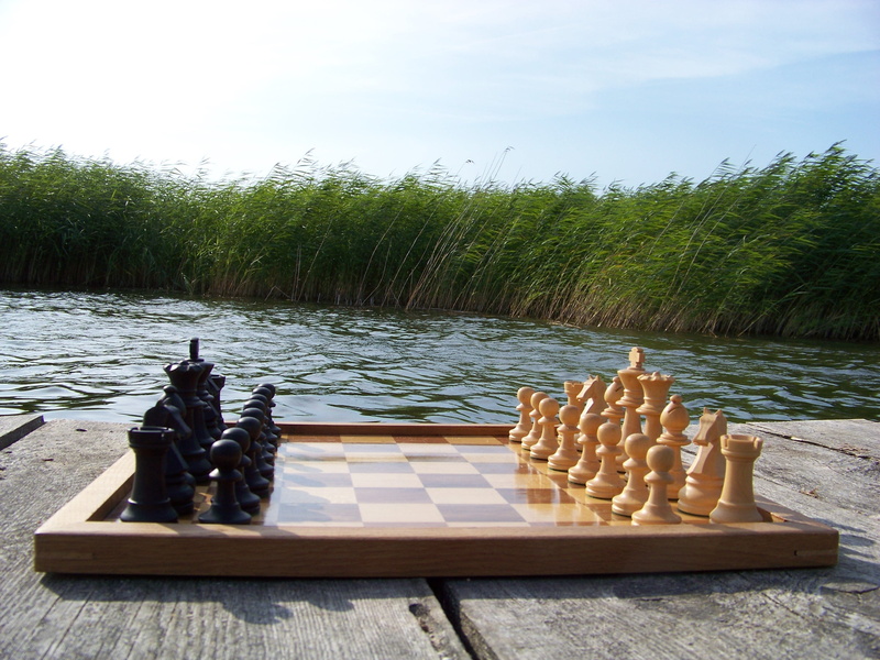 beauty in nature, leisure games, day, Chess, board game, statue, no people, travel destinations, chess board, strategy, growth, lake, the basic position