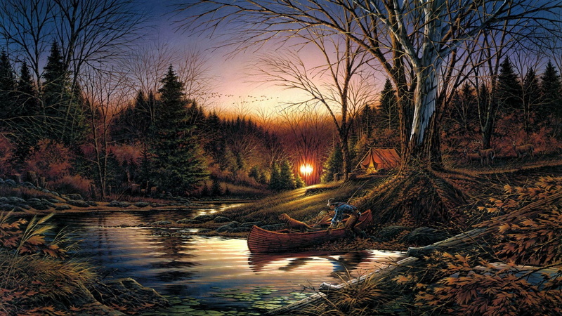art, forests, dog, hd, stream, basics, 1080P, back, Trees, canoe, nature, fisherman