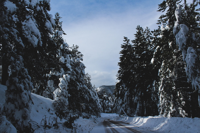 forest, nature, snows, snow, white color, scenics - nature, non-urban scene, tree, abies, highway, no people, mountain, road, winter, pine, christmas