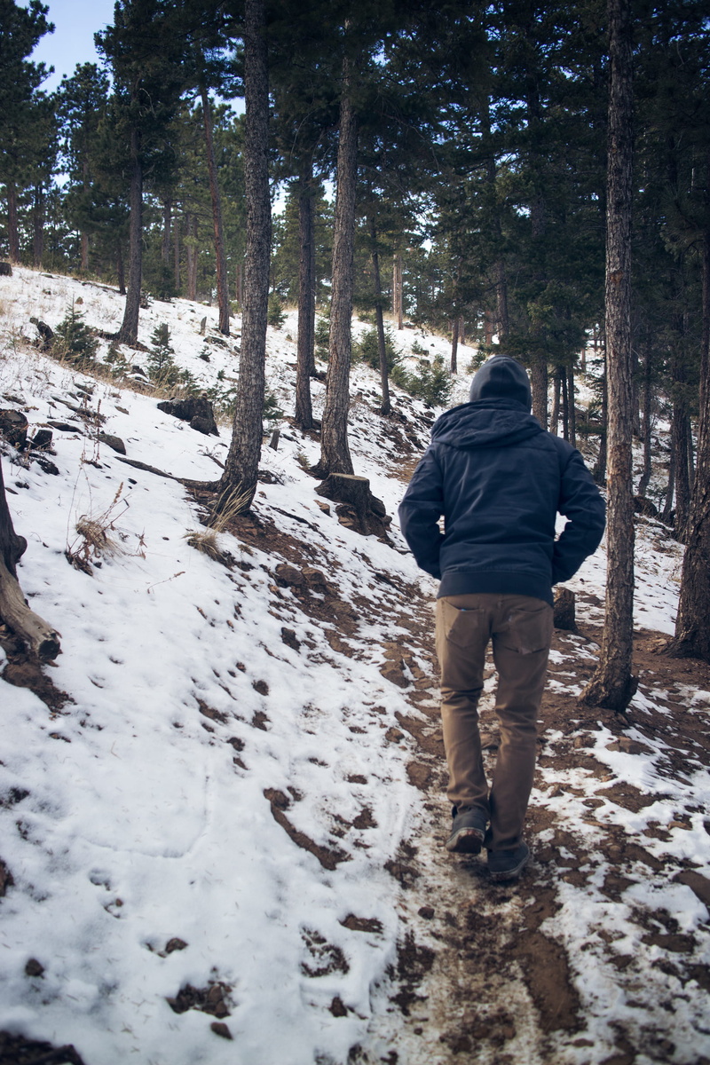 man in blue, daytime, adventure, winter, leisure activity, lifestyles, people, frost, coated, color Image, hooded, hoodie, forest, one Person, hiking, beauty in nature