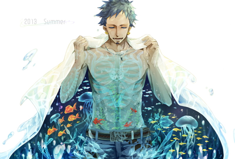 1080P, piece, law, trafalgar