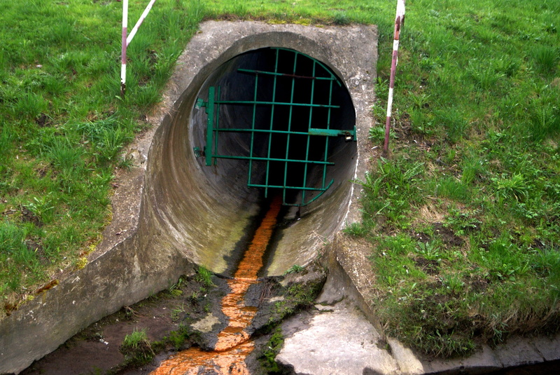 day, sewer, built structure, metal, swim, sludge, dirty, grass, photo, architecture, daytime, concrete, growth, pollution, green, no people, Unsanitary