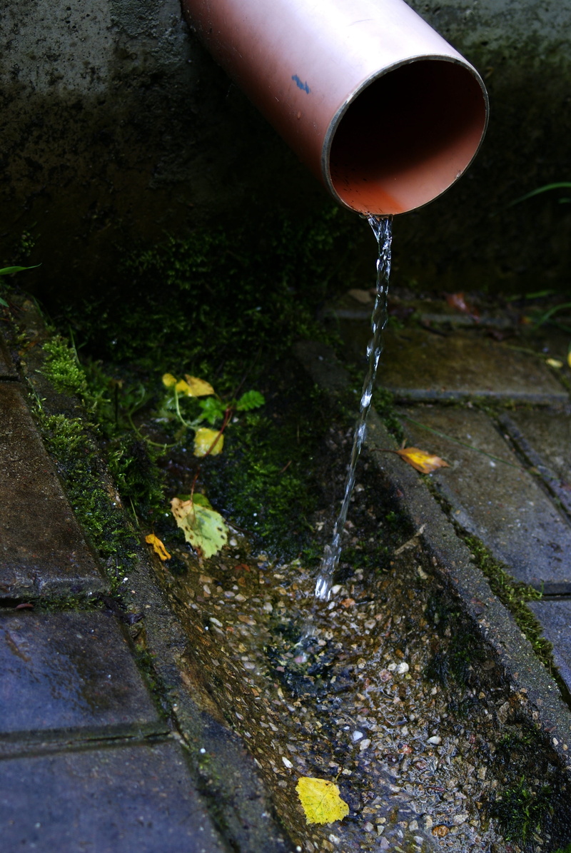 outflow, stone, no people, purity, nature, running water, channel, drops, falling, street, motion, city, day, pollution, pavement, walkway, moss, 4K, drop