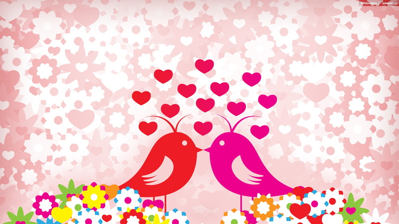 love, ultra hd, 4k pics, birds, 2K