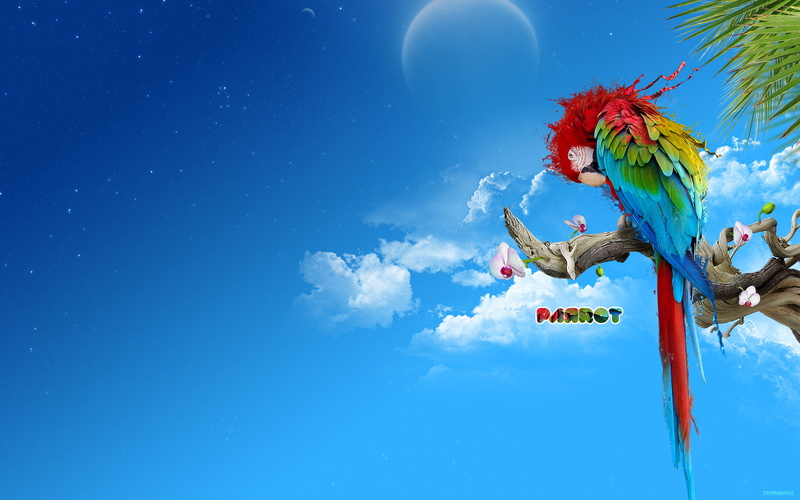 screensavers, 4k pics, ultra hd, 1080P, background, 1920x1200