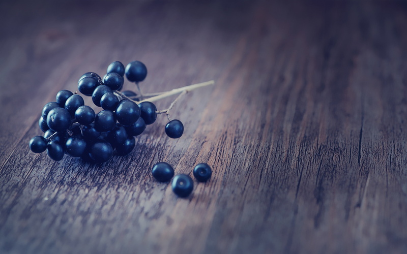 privet, ultra hd, berry backgrounds, purpel Privet, 4K, 4k pics, close-up