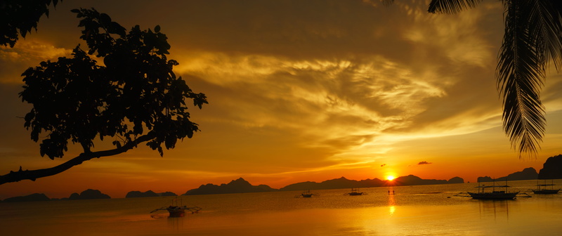 water, silhouette, sea, cloud - sky, beauty in nature, plant, tropical climate, coconut palm tree, outdoors, tranquility, tranquil scene, sky, nature, 5K