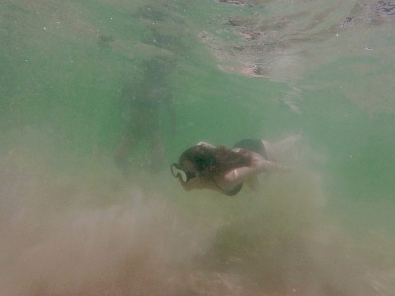 underwater, no people, 1080P, el nido, marine, philippines, palawan, mermaid, day, full length, outdoors, ocean, high angle view, animal themes, swimming