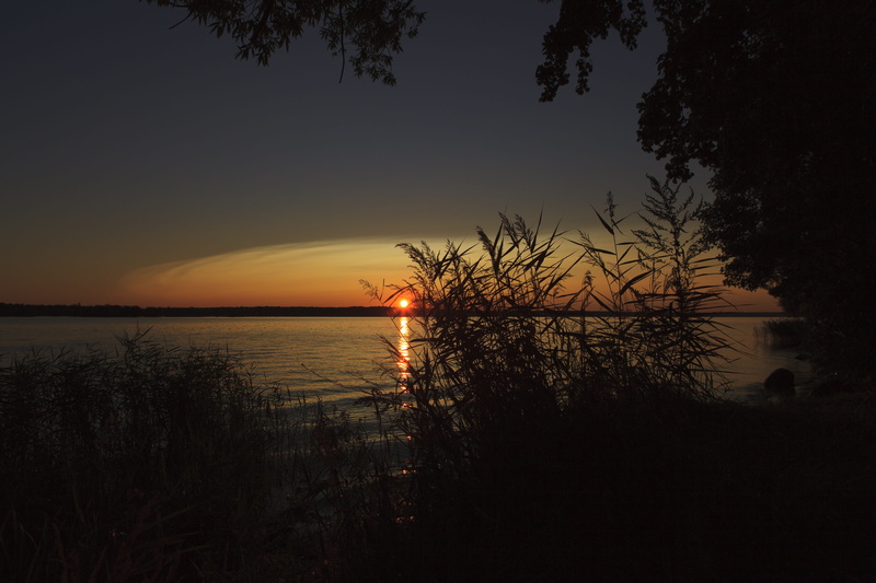 forest, fragment, dawn, tranquility, tranquil scene, silhouette, autumn, growth, view, twilight, body of water, non-urban scene, volga, living nature, night