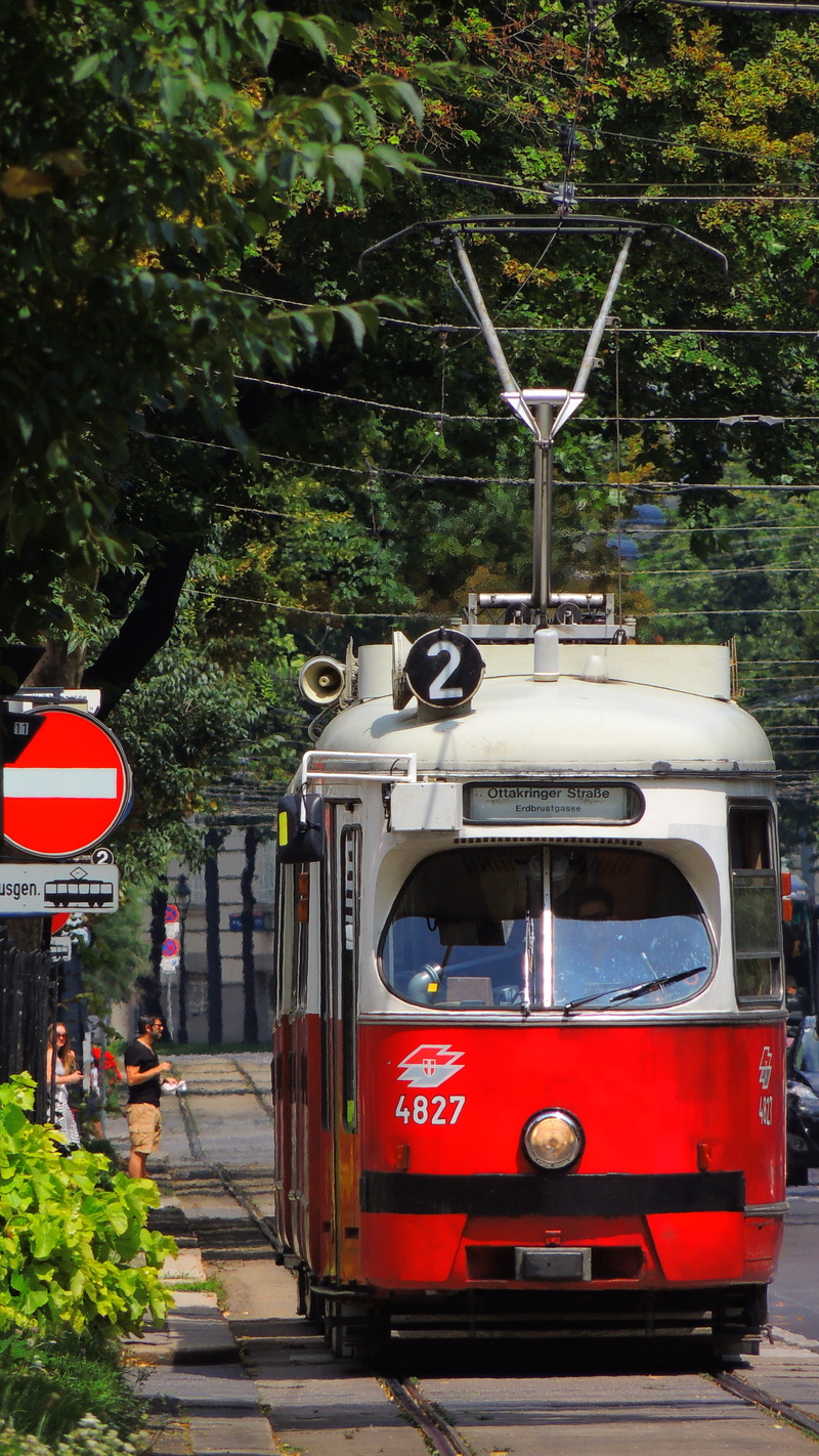 urban, tourism, vienna, transportation, tree, day, train, street, attraction, tram, cable car, public, nature, communication, town, outdoors, tramway, track