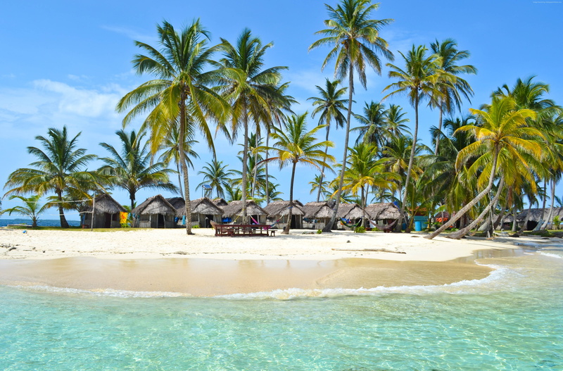 palms, Maldives, 4K, Best Beaches in the World, shore, 4k, 5k, Indian Ocean, sky