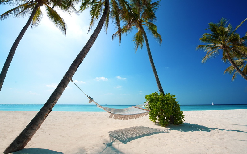 white, tropical, sky, sand, landscape, summer, palm trees, sea, Maldives, hammocks, blue, beach, 1080P, sunlight, nature
