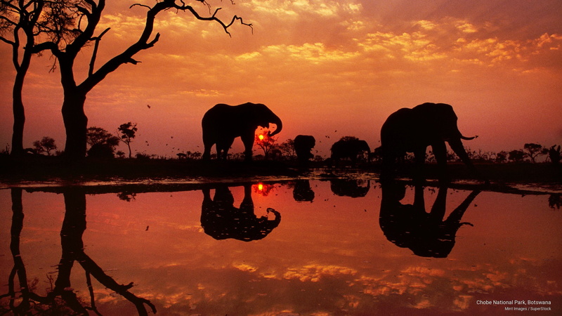 national, 2K, chobe, park, botswana, Africa