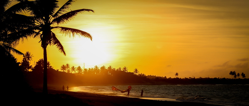 tranquility, tree, nature, lens flare, kitesurf, coconut palm tree, beach, palm tree, sail, kite surf, sun, scenics - nature, sea, land, plant, sunlight