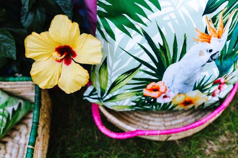 focus on foreground, accesories, exotic, tropical, fragility, Garden Party, plant, nature, Exotic Garden, flower head, party, beauty in nature, colors