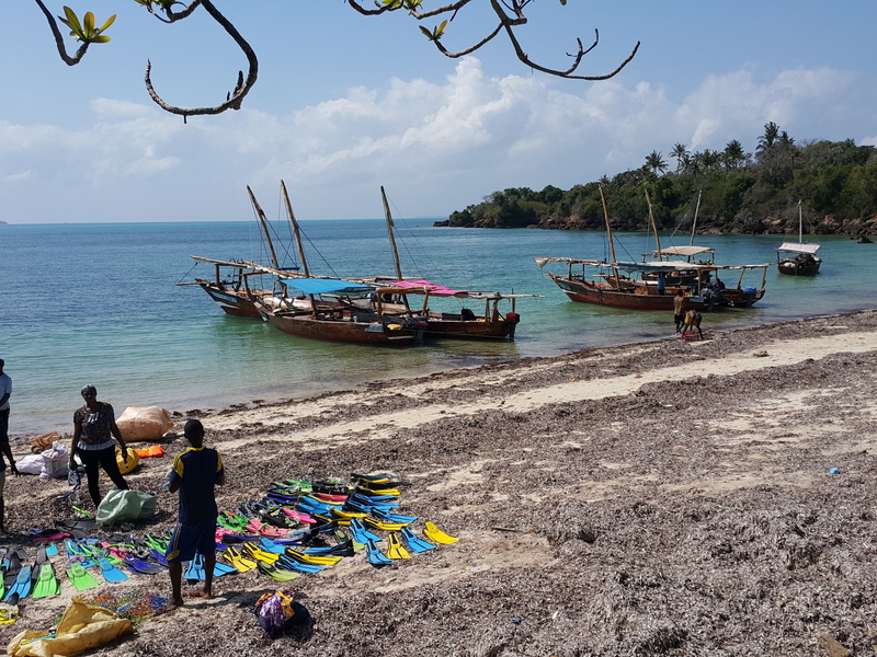 transportation, the coast, women, sea, fisherman, mode of transportation, fishing industry, nautical vessel, group of people, lifestyles, nature, real people