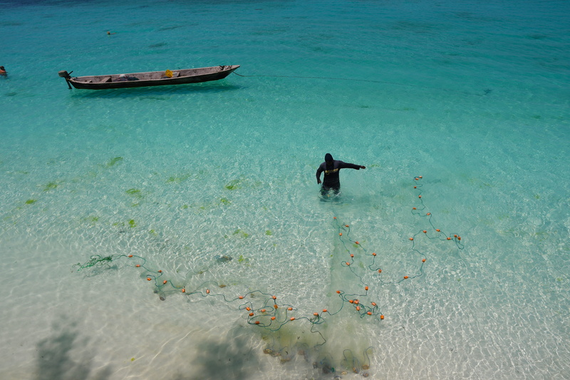 tanzania, real people, undersea, day, animal themes, net, sea, animal wildlife, watercraft, vertebrate, coast, swimming, person, rowboat, nautical vessel