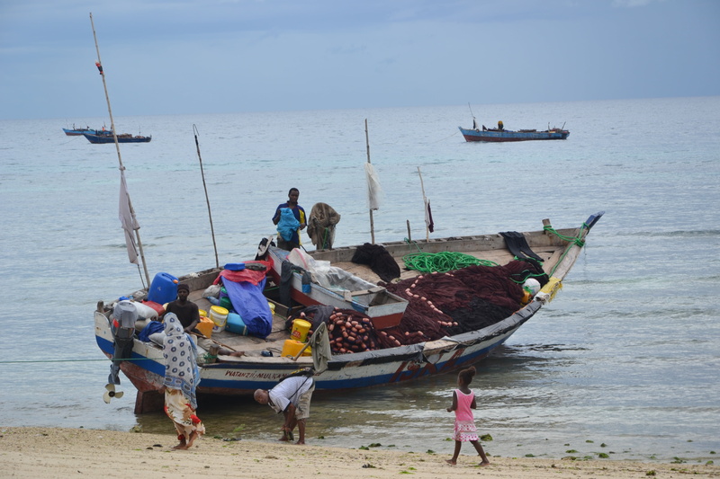 fishing boat, real people, nature, transportation, moored, fisherman, boot, zanzibar, mode of transportation, group of people, sky, day, fishing industry