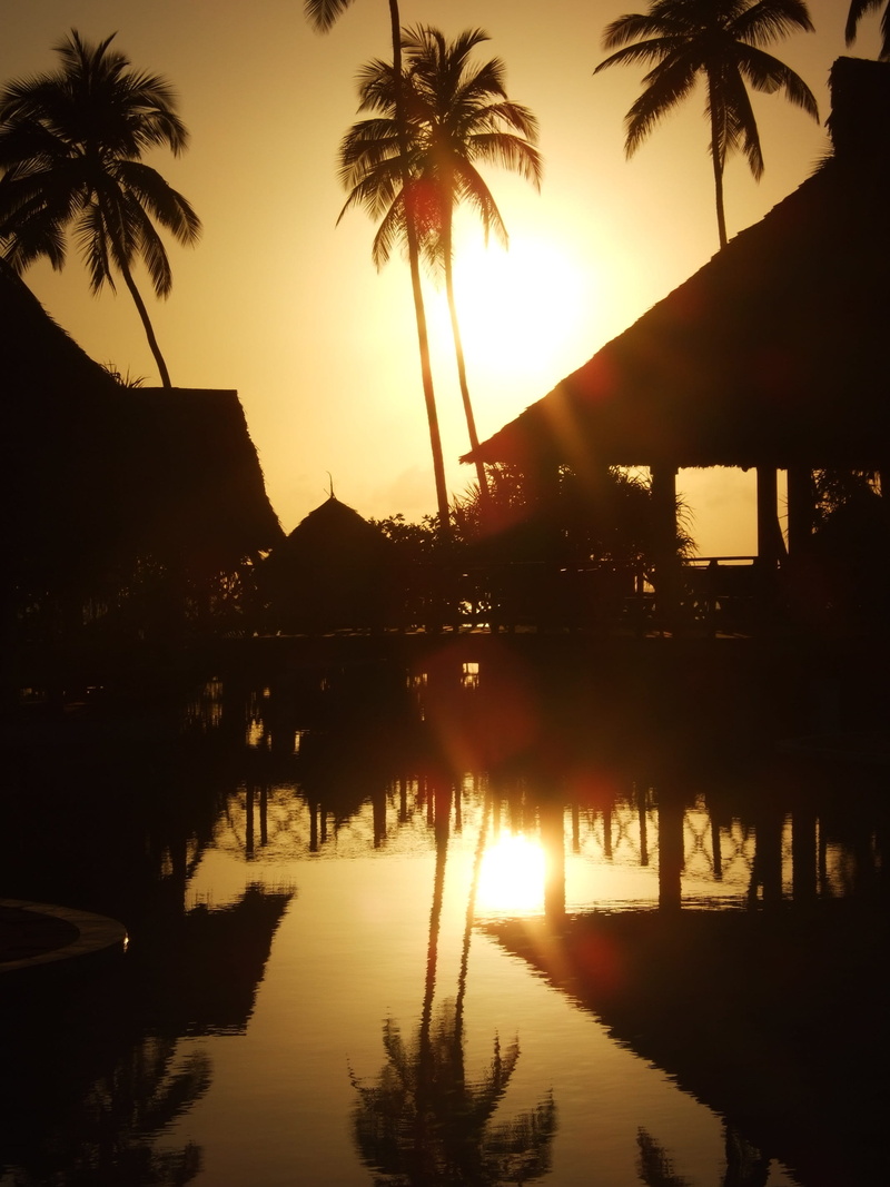 outdoors, idyllic, sky, tree, silhouette, orange color, coconut palm tree, swimming pool, tranquil scene, sunrise, lake, island, 2K, sunset, no people