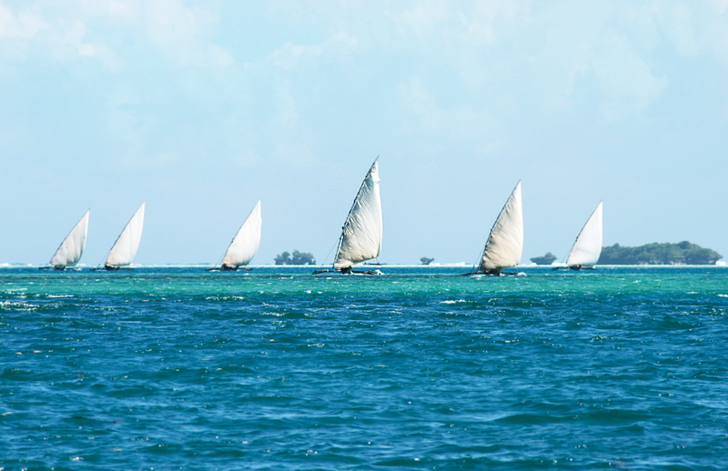 sky, dhow, nature, sailing, horizon, dau, beauty in nature, 4K, day, africa, sea, waterfront, sports race, mode of transportation, tanzania, horizon over water