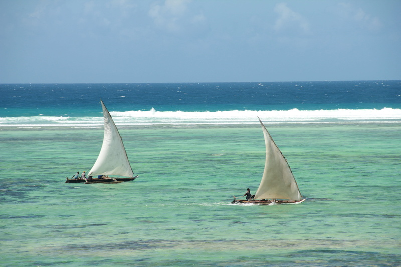 coast, traditional, 5K, holiday, horizon, sky, scenics - nature, Zanzibar, tourism, water, two, sail, ocean, horizon over water, sea, idyllic, animal