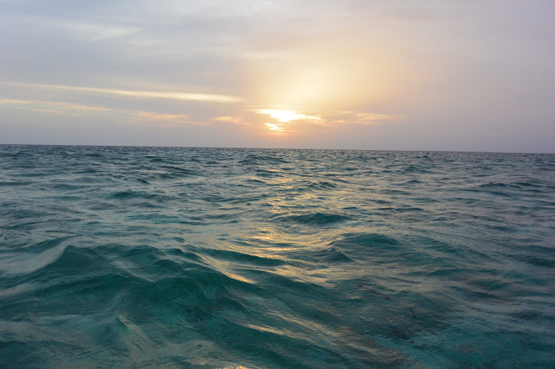 turquoise, ocean, beautiful, cloud - sky, beach, dolphin, nature, travel, sea, no people, blue, holiday, idyllic, water, tranquil scene, tranquility, sunset
