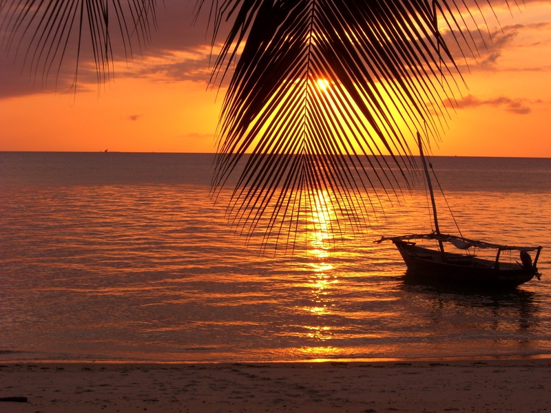 idyllic, horizon, water, outdoors, leaves, 2K, evening, orange color, summer, horizon over water, palm, sun, dusk, no people, cloud - sky, zanzibar, sky