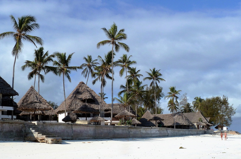 luxury, palm tree, thatched roof, white, building exterior, roof, palm, cottages, glamor, beach, coconut palm tree, architecture, built structure, tropics
