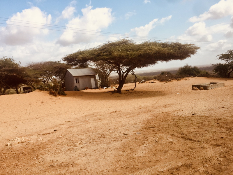 Africa, Somalia, nature, 2K
