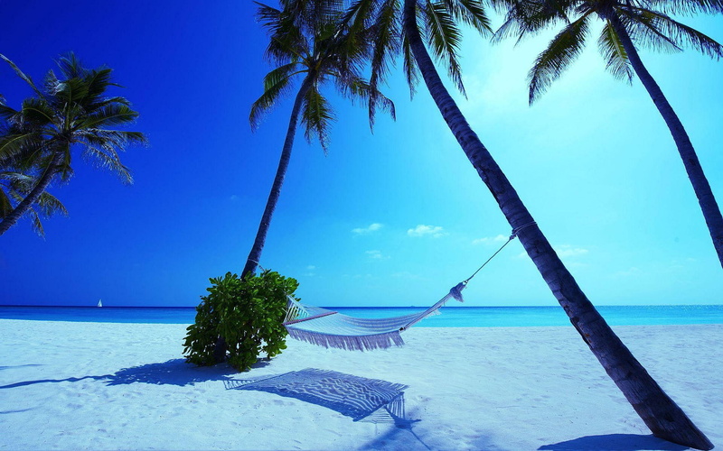 hammock, 1080P, nature, beach, maldives, white