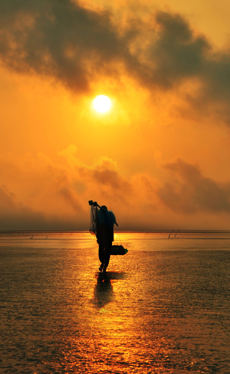 silhouette, golden, hour, fishermen, adult, water, Sea, sun, outdoors, lifestyles, Person, scenics - nature, nature, sunset, real people, horizon, one person