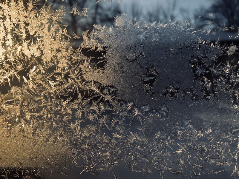 environment, water, nature, background, frozen, land, outdoors, ze, 4K, snowflake, animal, midwest, ice, tranquility, vertebrate, sun, dirt