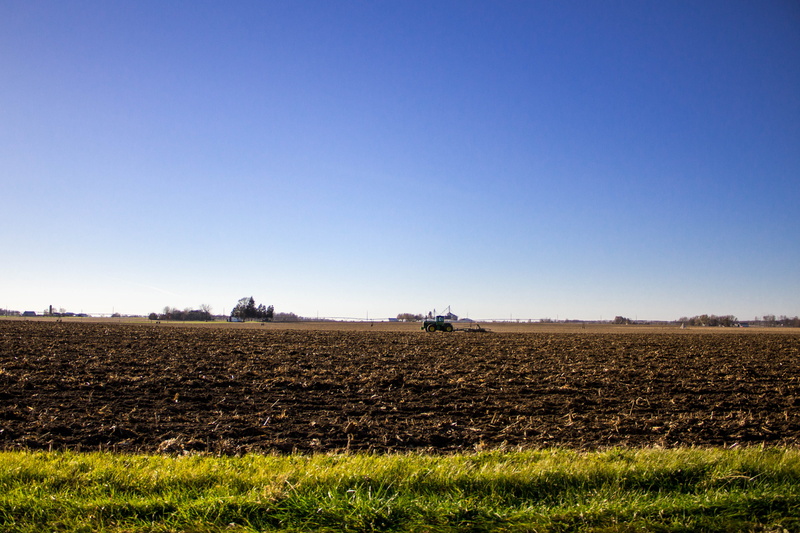 scenics - nature, agriculture, no people, landscape, day, 4K, plant, plough, tranquility, growth, clear sky, copy space, farm, environment, tranquil scene