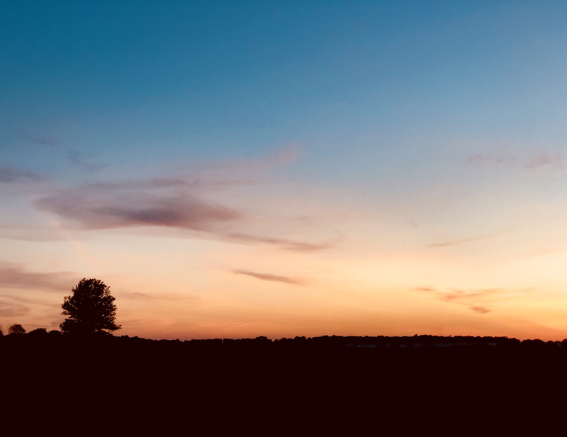 landscape, spring, golden hour, environment, romantic sky, night time, no people, summer, peaceful, yellow, field, blue, trees, tree, tranquility, sky