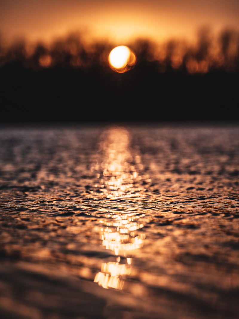 background, sunlight, sunrise, outdoors, sunset, bokeh, tree, sun, photography, screen, 8K, tilt, golden, sea, reflection, across, dark, lake, midwest