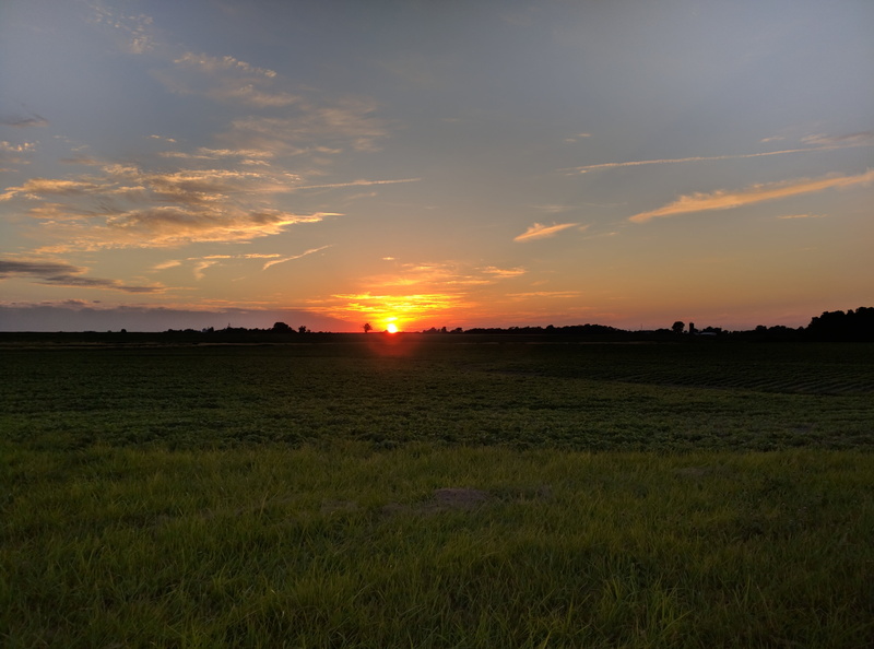 plant, rural scene, cloud - sky, midwest, nature, orange color, tranquil scene, environment, tranquility, scenics - nature, grass, illinois, 4K, landscape